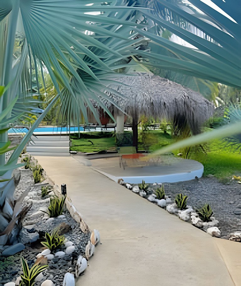 Casa Tortuga Playa La Saladita - Casa Las Palmas