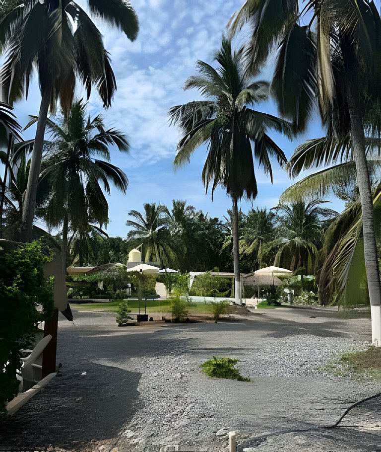 Casa Tortuga Playa La Saladita - Casa Las Palmas