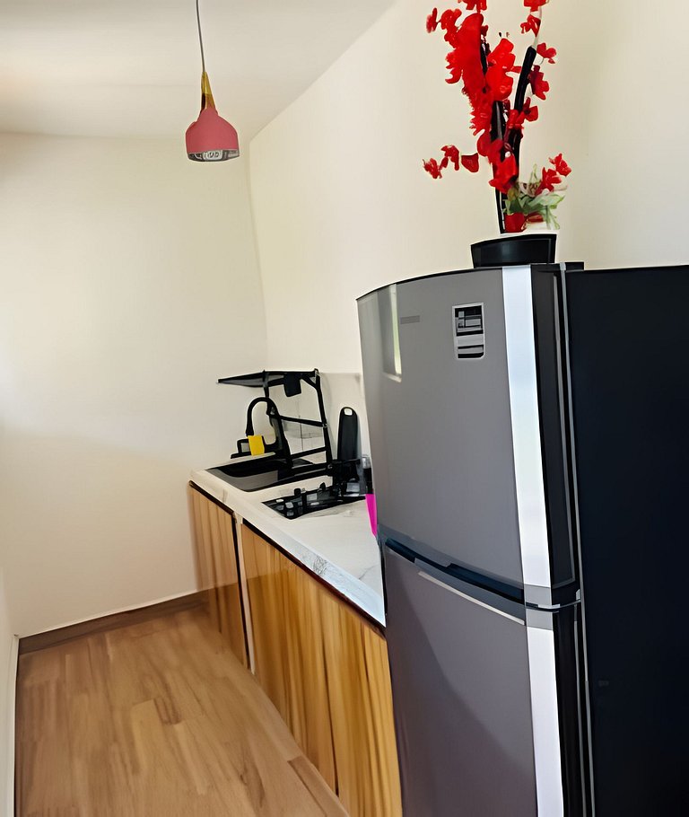 Casa Flamingos Playa La Saladita - Casa Las Palmas